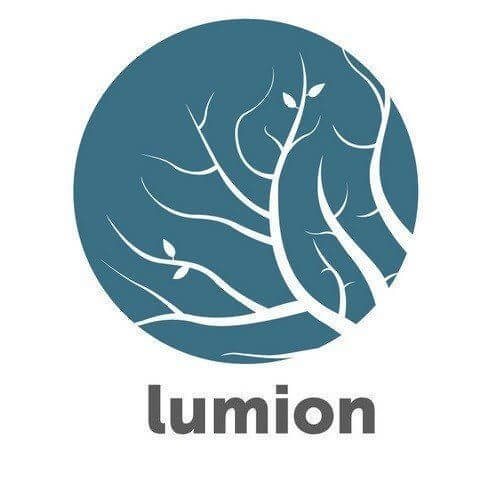 Lumion 12 Pro oficial